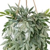 pollen &amp; fauna 114cm Potted Faux Hanging Ruscus Plant