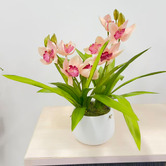 pollen &amp; fauna 43cm Cream Potted Faux Cymbidium Plant