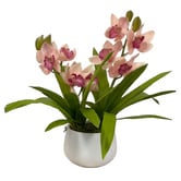 pollen &amp; fauna 43cm Cream Potted Faux Cymbidium Plant