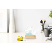 The Home Collective Australia Weather Station