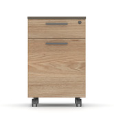 York street Allen 2 Drawer Mobile Pedestal
