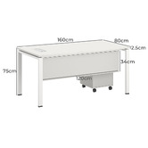 York street 2 Piece Alexie Computer Desk &amp; Mobile Pedestal Set