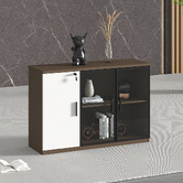 York street Roland Office Storage Cabinet