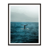 Printhouse Collective Whale Tail Framed Wall Art