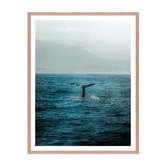 Printhouse Collective Whale Tail Framed Wall Art