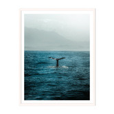 Printhouse Collective Whale Tail Framed Wall Art