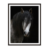 Printhouse Collective Horse Framed Wall Art