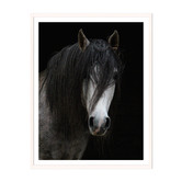 Printhouse Collective Horse Framed Wall Art