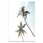Printhouse Collective 2 Palms Framed Printed Wall Art
