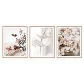 Printhouse Collective Delicate Petals Framed Printed Wall Art Triptych