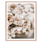 Printhouse Collective Delicate Petals Framed Printed Wall Art Triptych