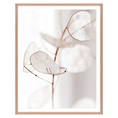 Printhouse Collective Delicate Petals Framed Printed Wall Art Triptych