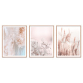 Printhouse Collective 3 Piece Pastel Stems Framed Printed Wall Art Set