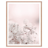 Printhouse Collective 3 Piece Pastel Stems Framed Printed Wall Art Set