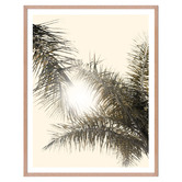 Printhouse Collective 3 Piece Malibu Dreaming Gallery Wall Art Set