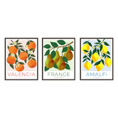 Printhouse Collective Fruit Posters Framed Printed Wall Art Triptych