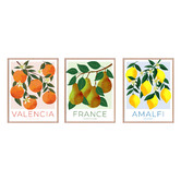 Printhouse Collective Fruit Posters Framed Printed Wall Art Triptych