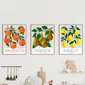 Printhouse Collective Fruit Posters Framed Printed Wall Art Triptych