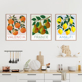 Printhouse Collective Fruit Posters Framed Printed Wall Art Triptych