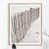 Printhouse Collective Divided Sands Framed Printed Wall Art
