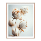 Printhouse Collective 3 Piece Whispering Petals Wall Art Set