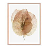 Printhouse Collective 3 Piece Whispering Petals Wall Art Set