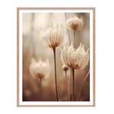 Printhouse Collective 3 Piece Whispering Petals Wall Art Set