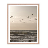 Printhouse Collective 4 Piece Seaside Solace Wall Art Set