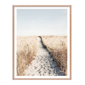 Printhouse Collective 4 Piece Seaside Solace Wall Art Set