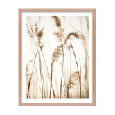 Printhouse Collective 4 Piece Seaside Solace Wall Art Set