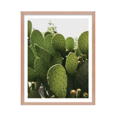 Printhouse Collective 4 Piece Stone and Sage Wall Art Set