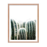 Printhouse Collective 3 Piece Canyon Drive Wall Art Set