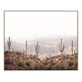 Printhouse Collective 3 Piece Arid Majesty Canvas Wall Art Set