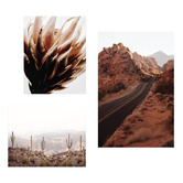 Printhouse Collective 3 Piece Arid Majesty Canvas Wall Art Set