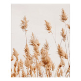 Printhouse Collective 3 Piece Sepia Bloom Canvas Wall Art Set