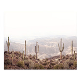 Printhouse Collective 3 Piece Arid Majesty Canvas Wall Art Set