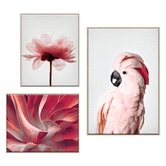 Printhouse Collective 3 Piece Feathered Blush Canvas Wall Art Set