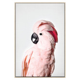 Printhouse Collective 3 Piece Feathered Blush Canvas Wall Art Set