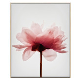 Printhouse Collective 3 Piece Feathered Blush Canvas Wall Art Set