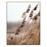 Printhouse Collective 3 Piece Silent Fields Canvas Wall Art Set