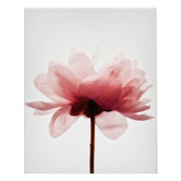 Printhouse Collective 3 Piece Feathered Blush Canvas Wall Art Set