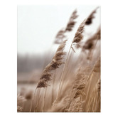 Printhouse Collective 3 Piece Silent Fields Canvas Wall Art Set