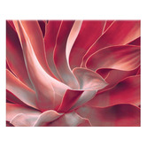 Printhouse Collective 3 Piece Feathered Blush Canvas Wall Art Set