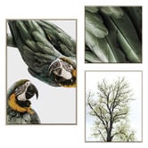 Printhouse Collective 3 Piece Foliage &amp; Feathers Canvas Wall Art Set