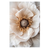 Printhouse Collective 3 Piece Sepia Bloom Canvas Wall Art Set