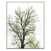 Printhouse Collective 3 Piece Foliage &amp; Feathers Canvas Wall Art Set