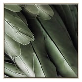 Printhouse Collective 3 Piece Foliage &amp; Feathers Canvas Wall Art Set