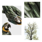 Printhouse Collective 3 Piece Foliage &amp; Feathers Canvas Wall Art Set