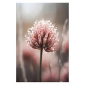 Printhouse Collective 3 Piece Morning Dew Canvas Wall Art Set