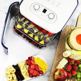 Time Treasure Home Roxie Food Dehydrator